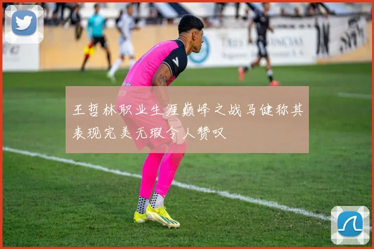 王哲林职业生涯巅峰之战马健称其表现完美无瑕令人赞叹