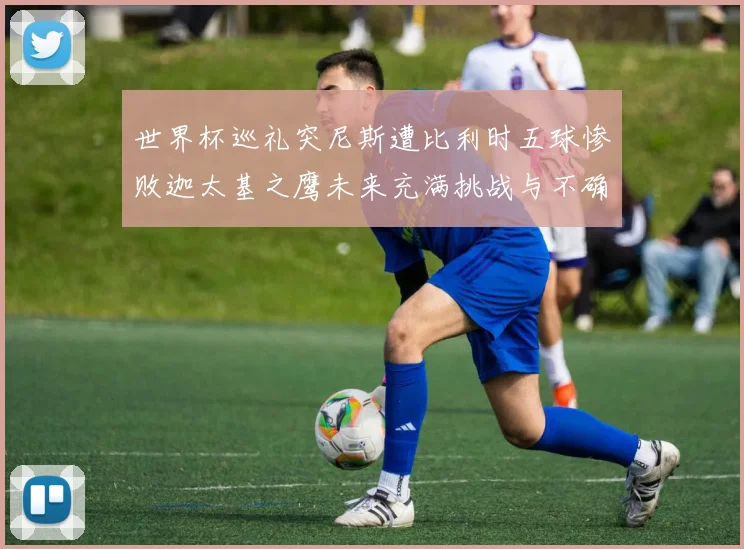 世界杯巡礼突尼斯遭比利时五球惨败迦太基之鹰未来充满挑战与不确定性