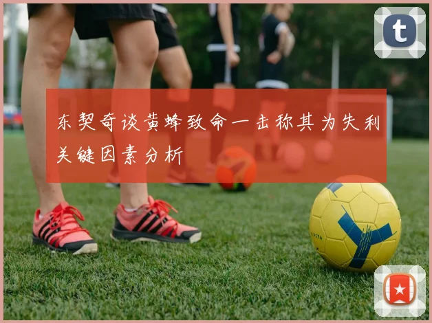 东契奇谈黄蜂致命一击称其为失利关键因素分析